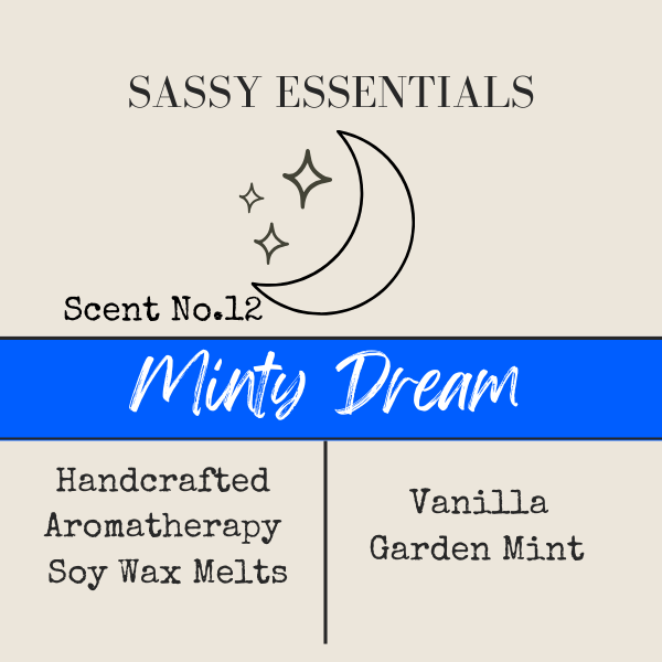 Minty Dream Wax Melt Snap Bars