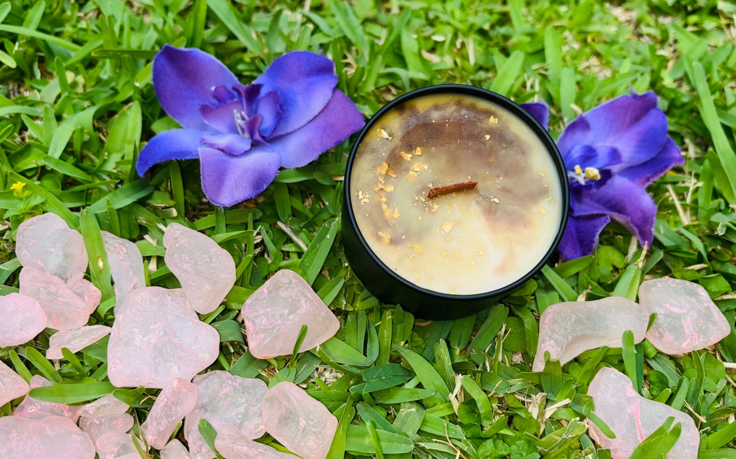 Canela Escape  -DISCONTINUED-